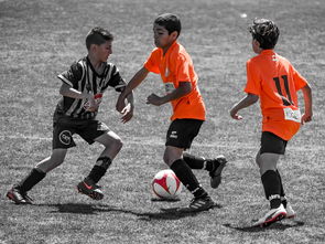 九游网-NBA球员训练营活动，nba球员训练营活动安排